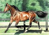 Standardbred, Equine Art - Trotting in the Paddock